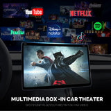 AI Box for TESLA Model 3 Model Y Model S Model X with AMD Ryzen Processor & Browser Android 16 Support Wireless Carplay Android Auto YouTube Netflix TF Card Video Play